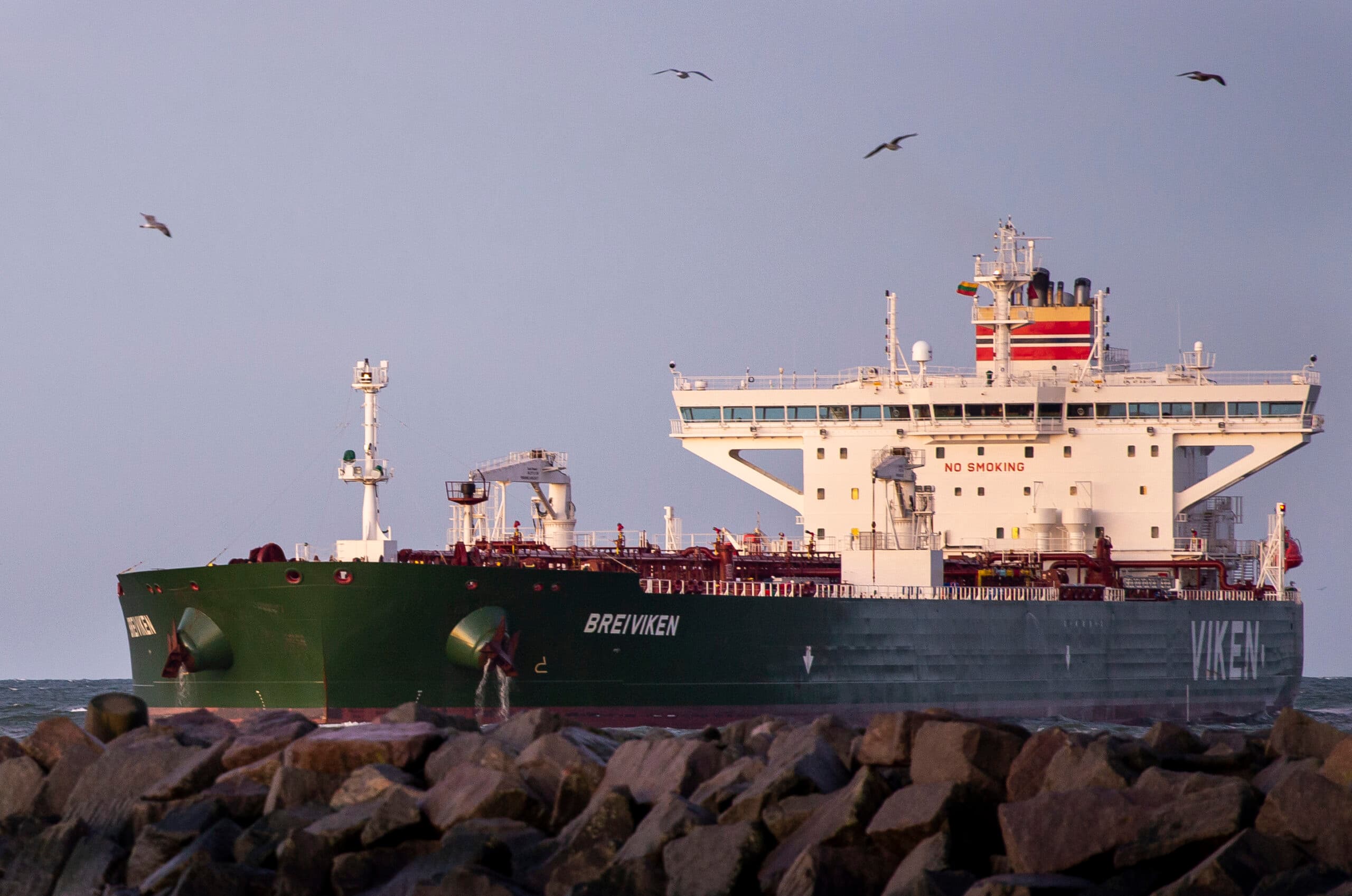 A large cargo ship named "BREIVIKEN" at sea, with seagulls flying above and rocks in the foreground.