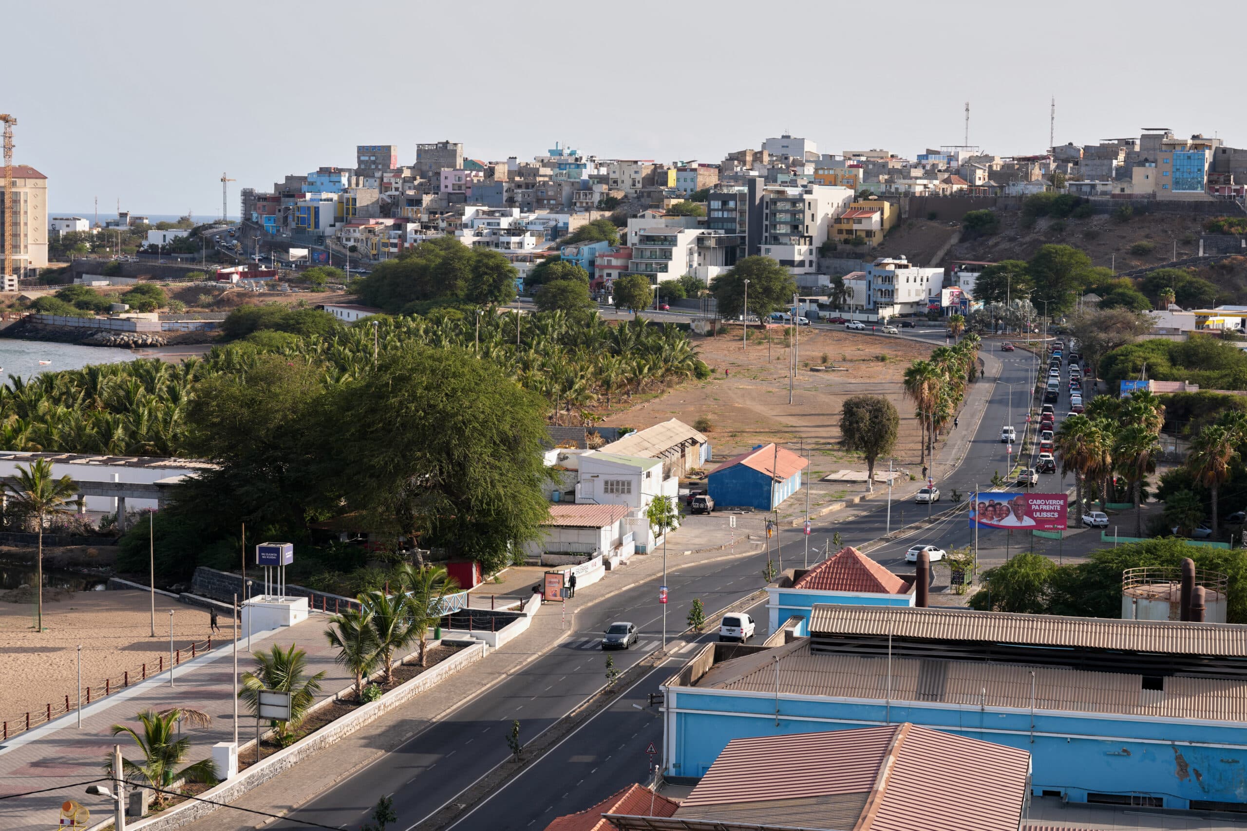 A coastal road lined with palm trees leads to a residential area on a hillside with colorful buildings.