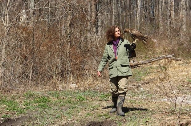 Julie Shope and Zadeem. The goshawk's name means 'fierce warrior princess' or 'terror from the skies.'