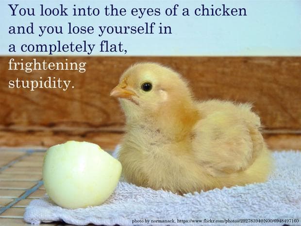 Inspiration from Werner Herzog