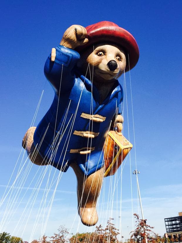Paddington Bear