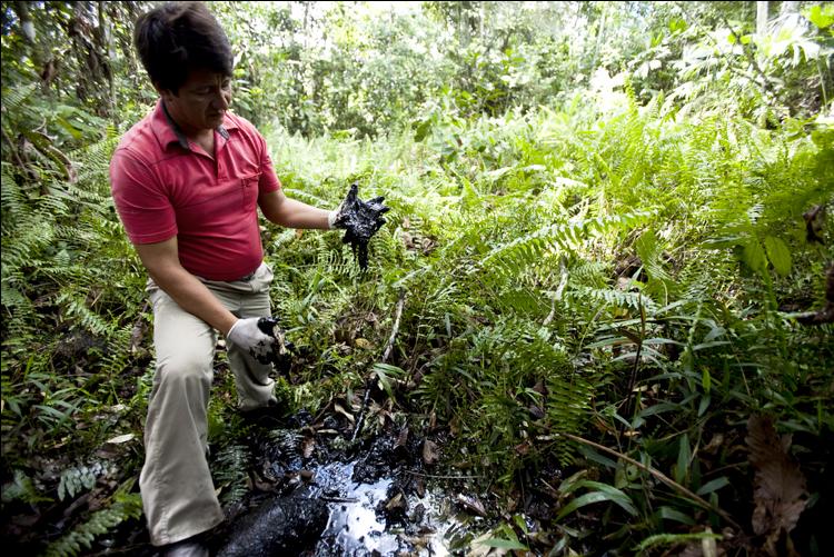 Oil contaminates open pits in the Ecuadorian Amazon. (Rainforest Action Network)
