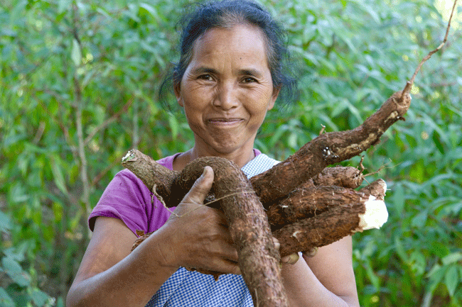 seed farmers 6