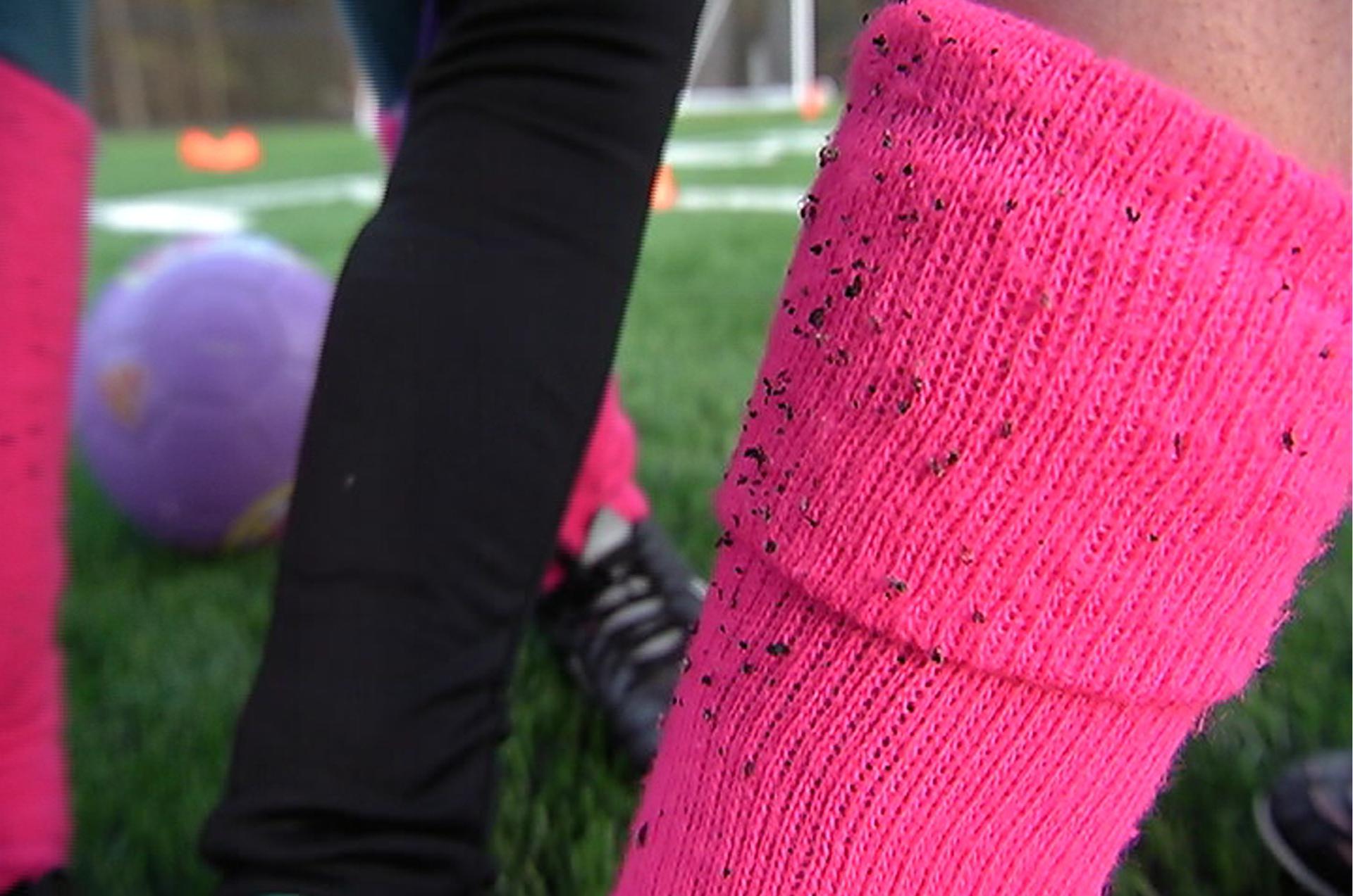 A Medway youth soccer player's sock collects particles of crumb rubber from the Medway High School synthetic turf field. The ant-size pellets act as artificial dirt for the artificial grass and they become ubiquitous in the lives of families whose kids pl
