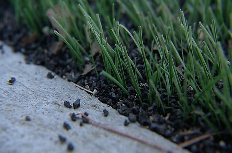 In Medway, a small but vocal group of parents are pushing for warning signs to be installed near recently built artificial turf fields to warn parents about alleged health risks in the ant-size crumb rubber pieces that cushion the bright synthetic grass.