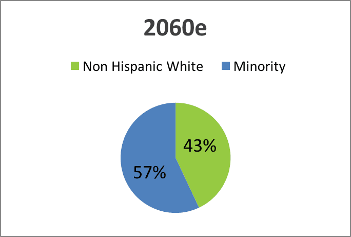2060 US population