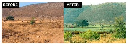 Rajasthan after check dam