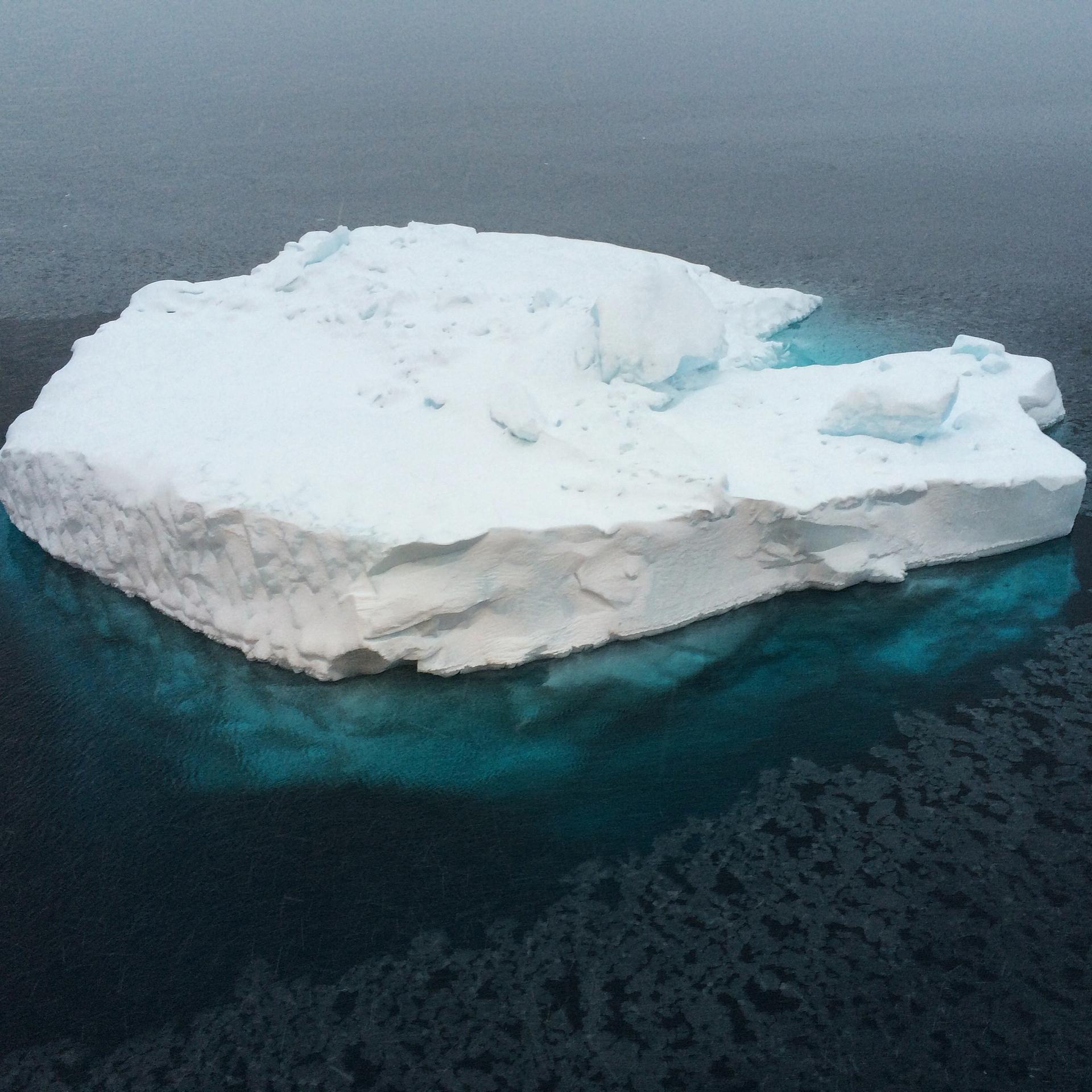 Iceberg in grease ice
