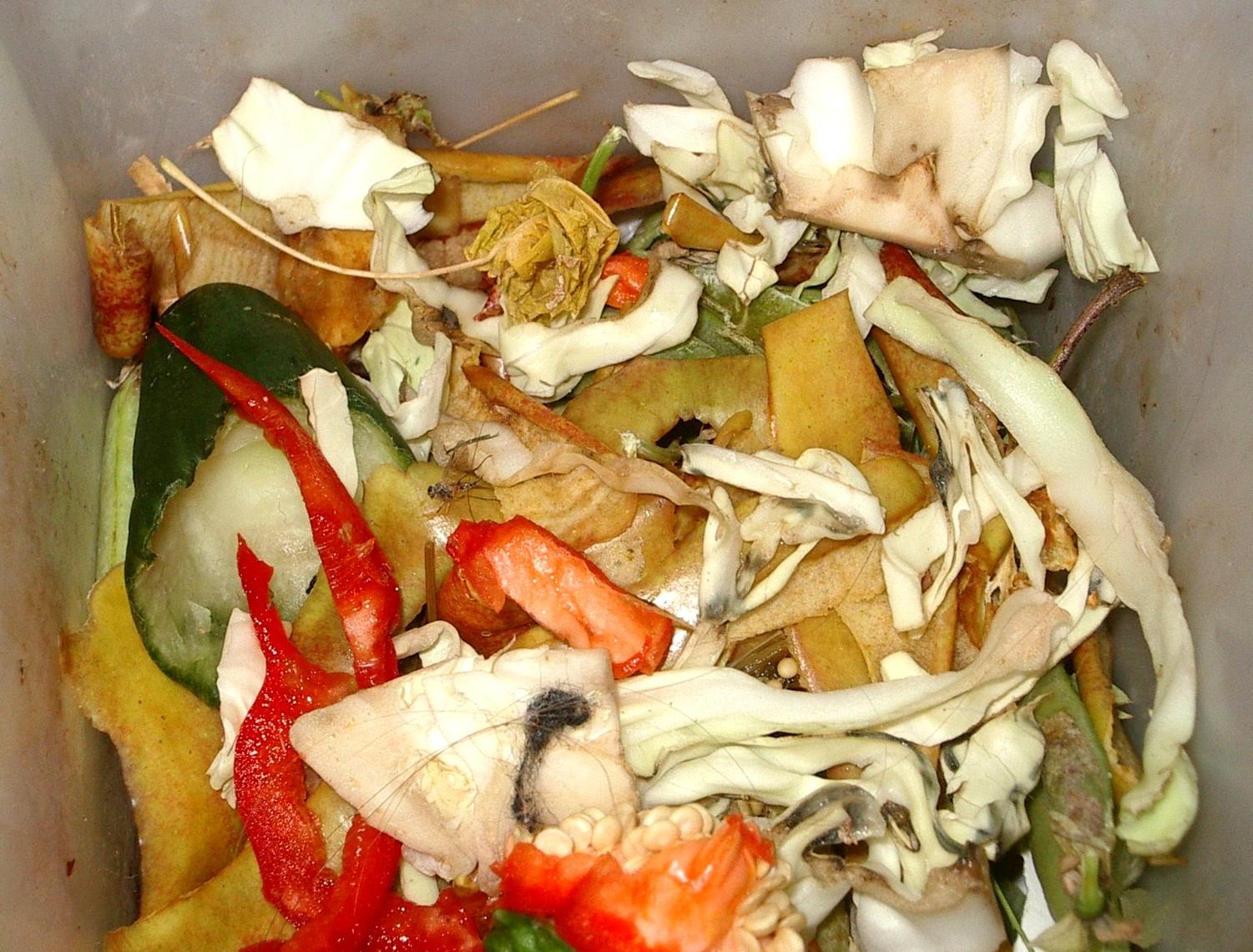 Bin of food waste