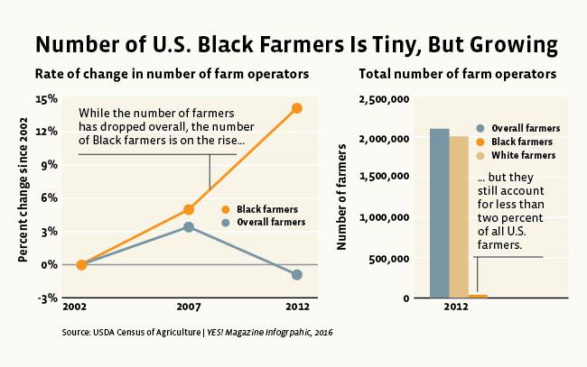 black farmers graph