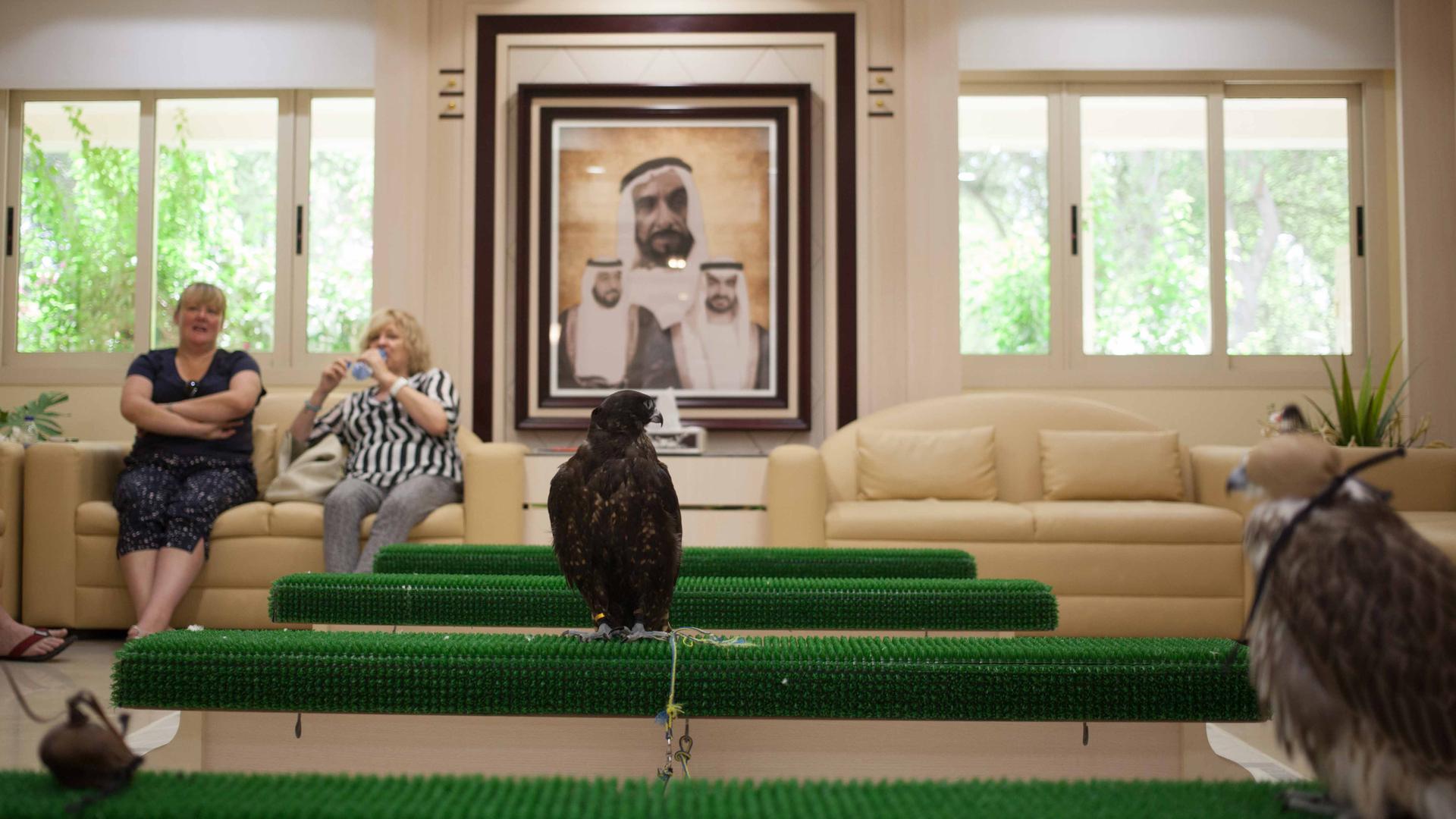 Tourists wait for a tour of the Abu Dhabi Falcon Hospital. A portrait of Sheikh Zayed (center) and his sons can be seen on the wall.