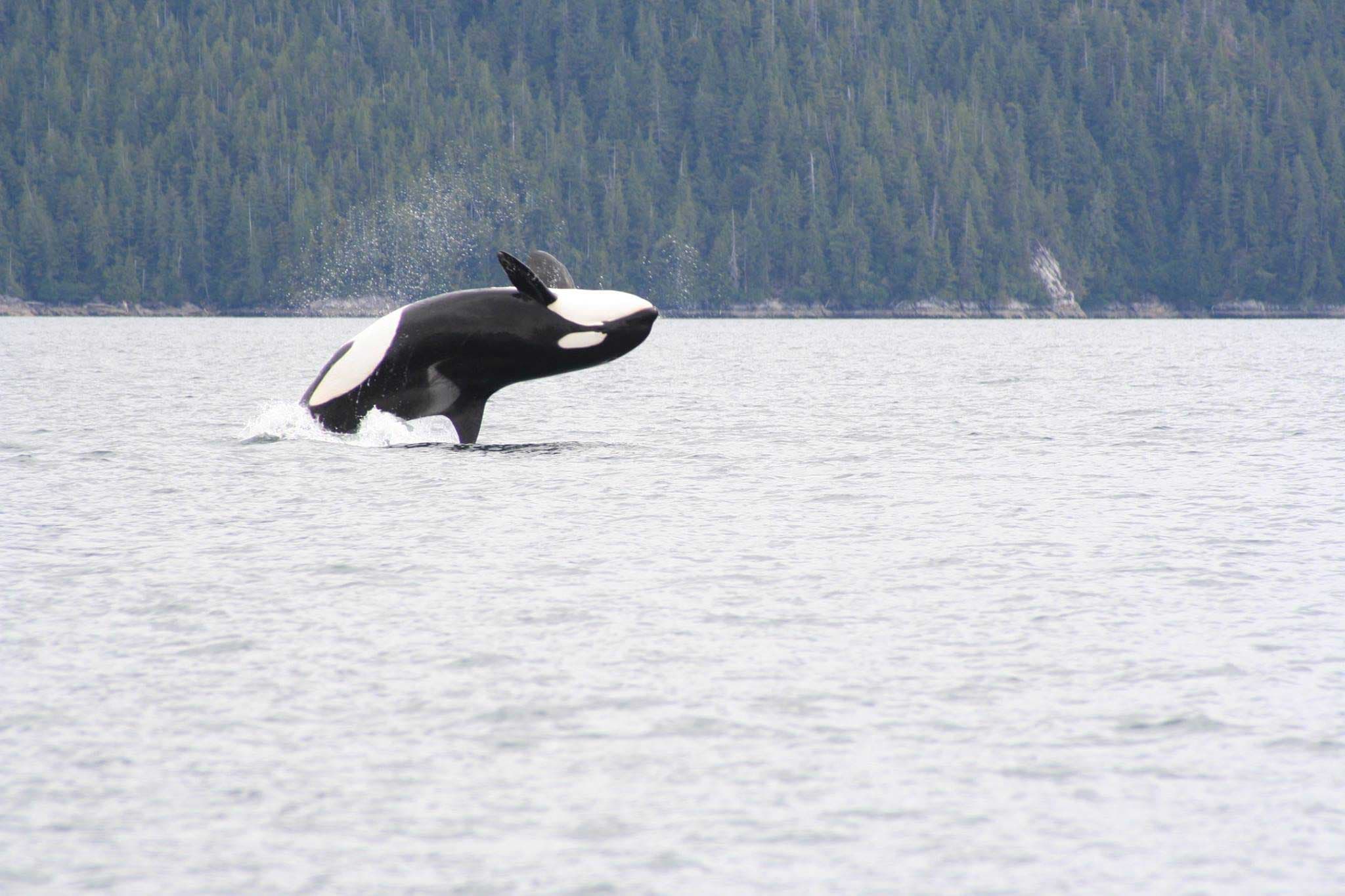 Glacier Bay National Park