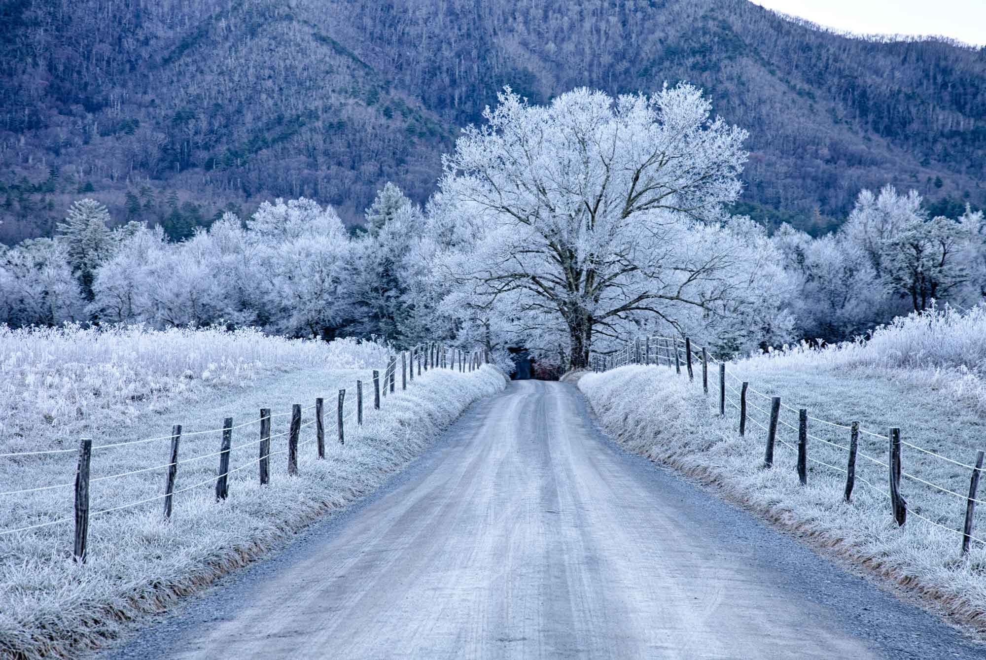 Great Smoky Mountains National Park