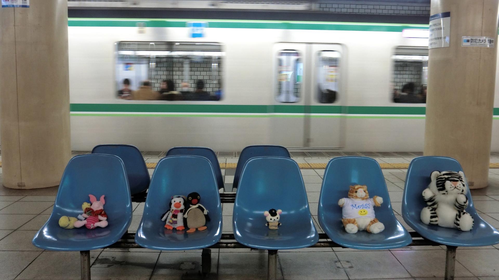Meggy Weggy (the stuffed cat) and her tour group wait for the Chiyoda Line in Tokyo's metro system.