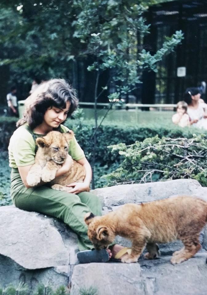 Hilda Tresz and lions at the Budapest Zoo