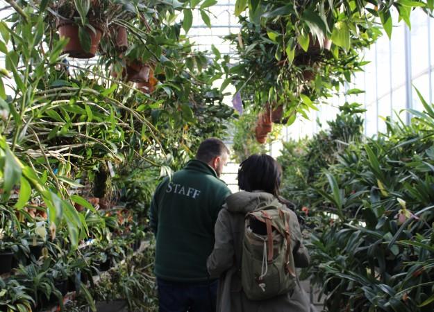 Hachadorian, who oversees the CITES Rescue Center Program for the New York Botanical Garden, and Alexa Lim, associate producer for Science Friday, walk through the Nolen Greenhouses. Photo by Becky Fogel