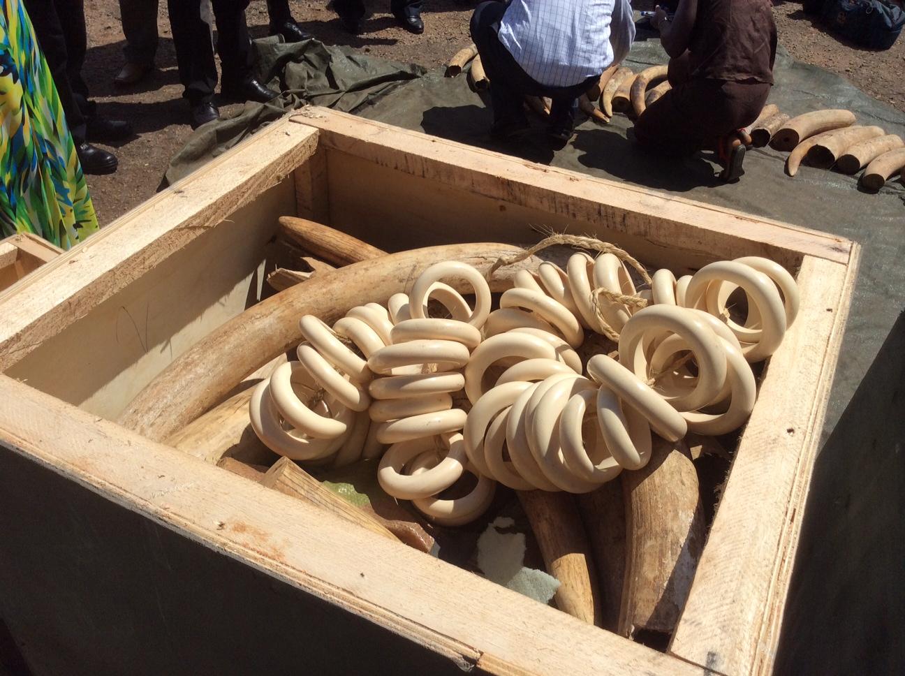 Confiscated Ivory Bangles