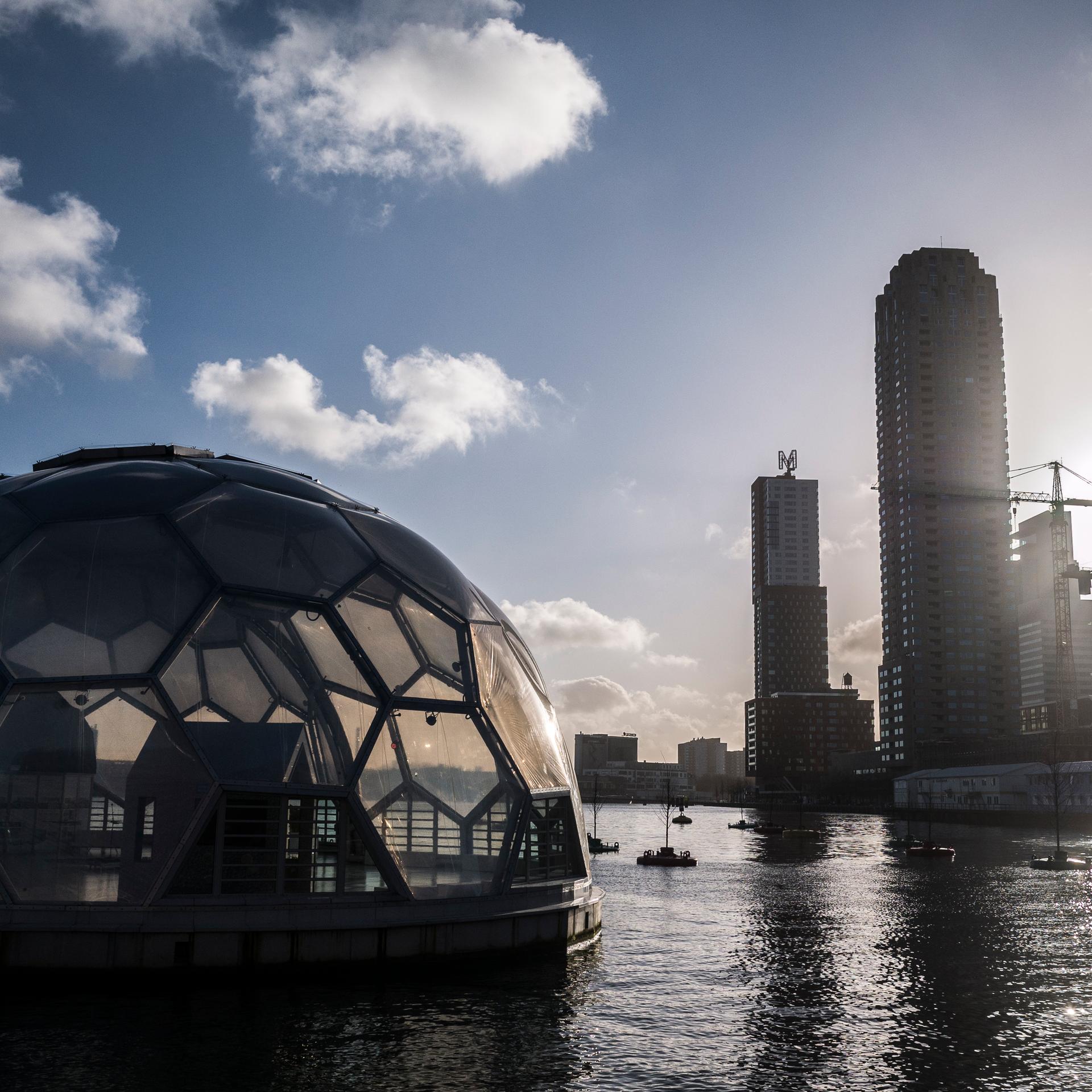 Floating buildings like this pavilion in Rotterdam's old harbor are still a boutique solution even in the Netherlands, but Hans Baggerman says they could become more common as climate change forces developers to get creative. 