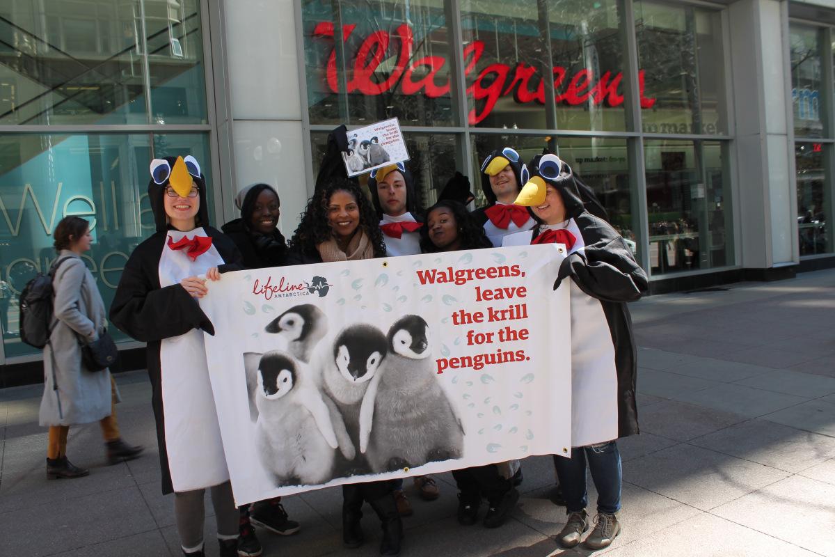 Lifeline Antartica has protested in front of several Walgreens stores, this one in Chicago on March 17, 2016.
