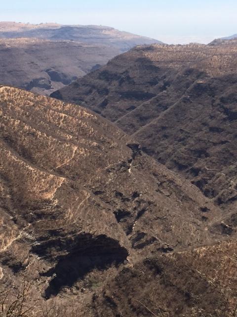 Climbing up out of Salalah into the arid mountains.