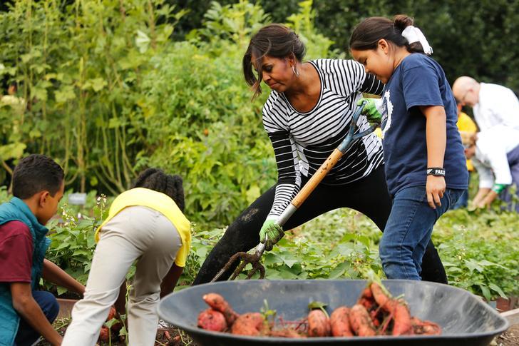 U.S. first lady Michelle Obama harvests vegetables from the White House kitchen garden with schoolchildren in Washington October, 2014.