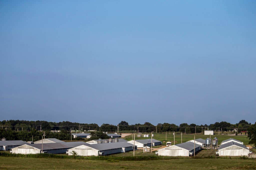 Simmons Foods now is so reliant on CAAIR for some shifts that the plants likely would shut down if the men didn’t show up, according to former staff members and plant supervisors.