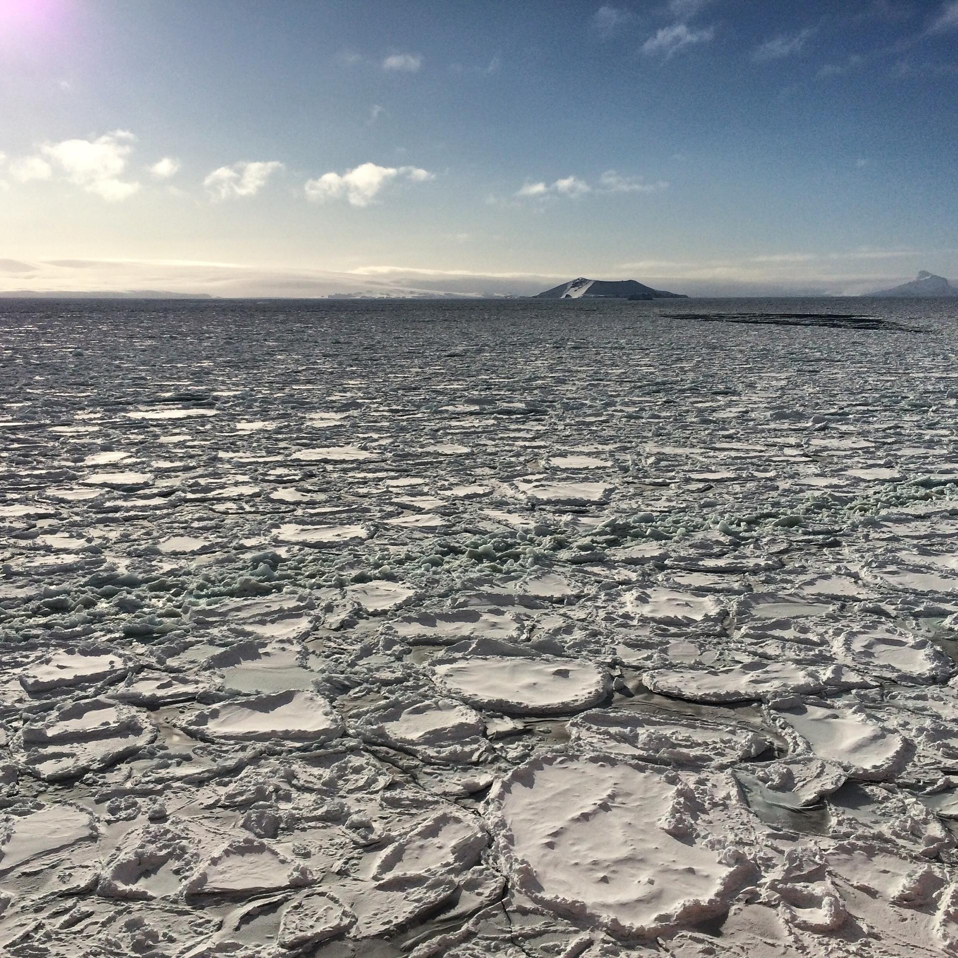 For miles, all you can see is an expanse of sea ice.