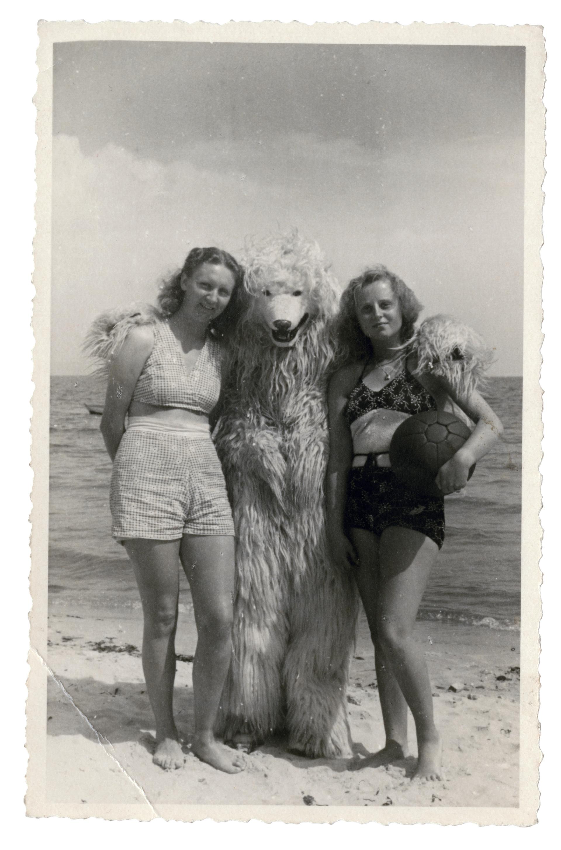 A polar bear on the beach with his arms around two bathing beauties.