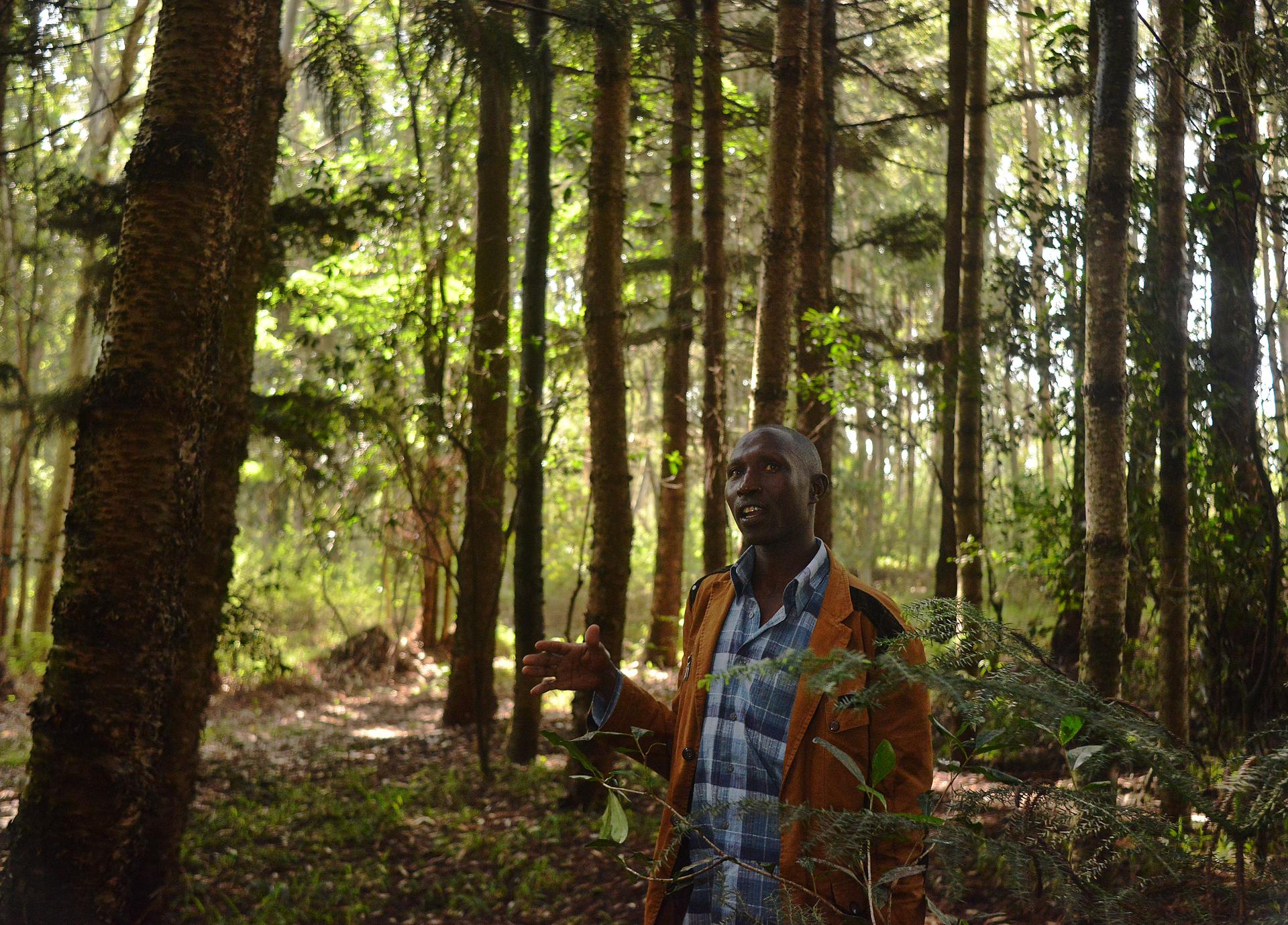 Elias Kimaiyo says the Kenya Forest Service has burned down his home repeatedly as part of a push to evict him and other members of the Senger, an indigenous tribe, from the forests where they have lived for generations. 