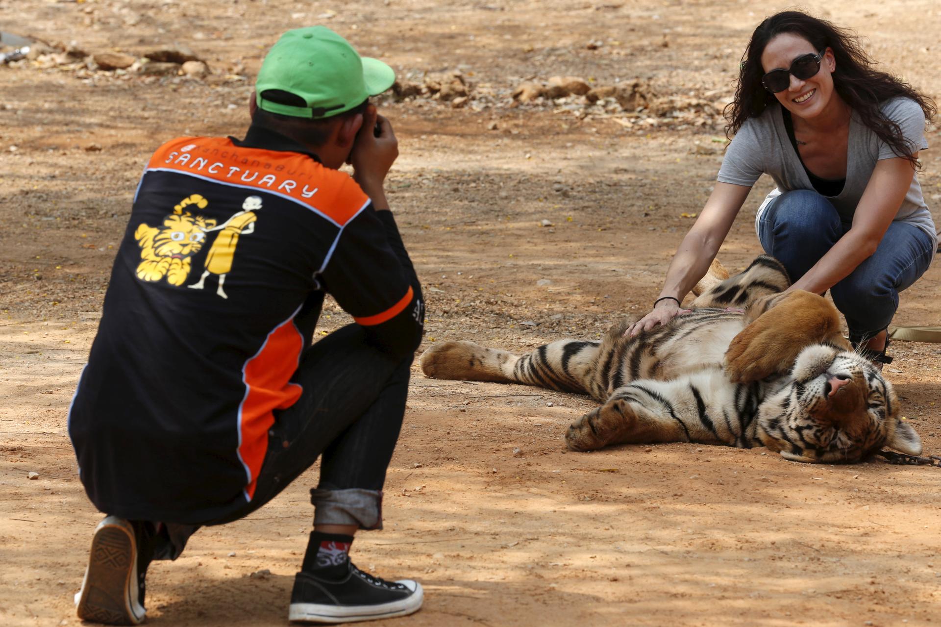 A tourist poses for picture at the Tiger Temple in Kanchanaburi province, west of Bangkok, Thailand, February 25, 2016.  The Tiger Temple is now closed after Thai wildlife officials raided it on May 30th and removed the remaining tigers in residence. The