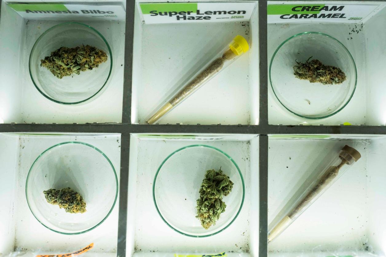 Barcelona's clubs have a menu of cannabis products for members to choose from.