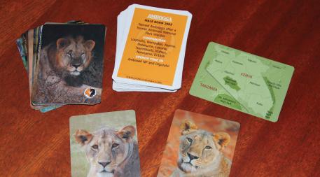 Trading card-like images and descriptions of lions help Lion Guardians distinguish among individual animals as they work to minimize human-lion conflict.