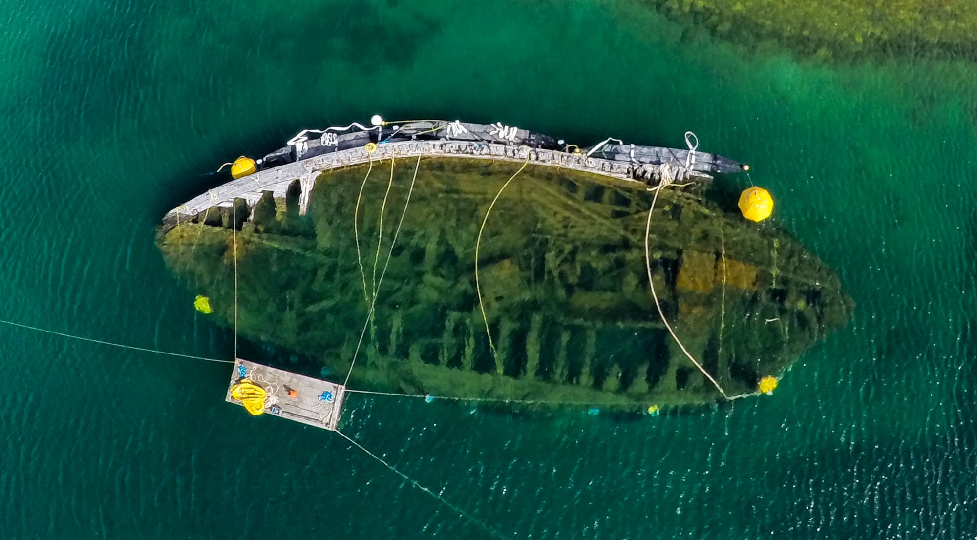 A bird's-eye view of Maud