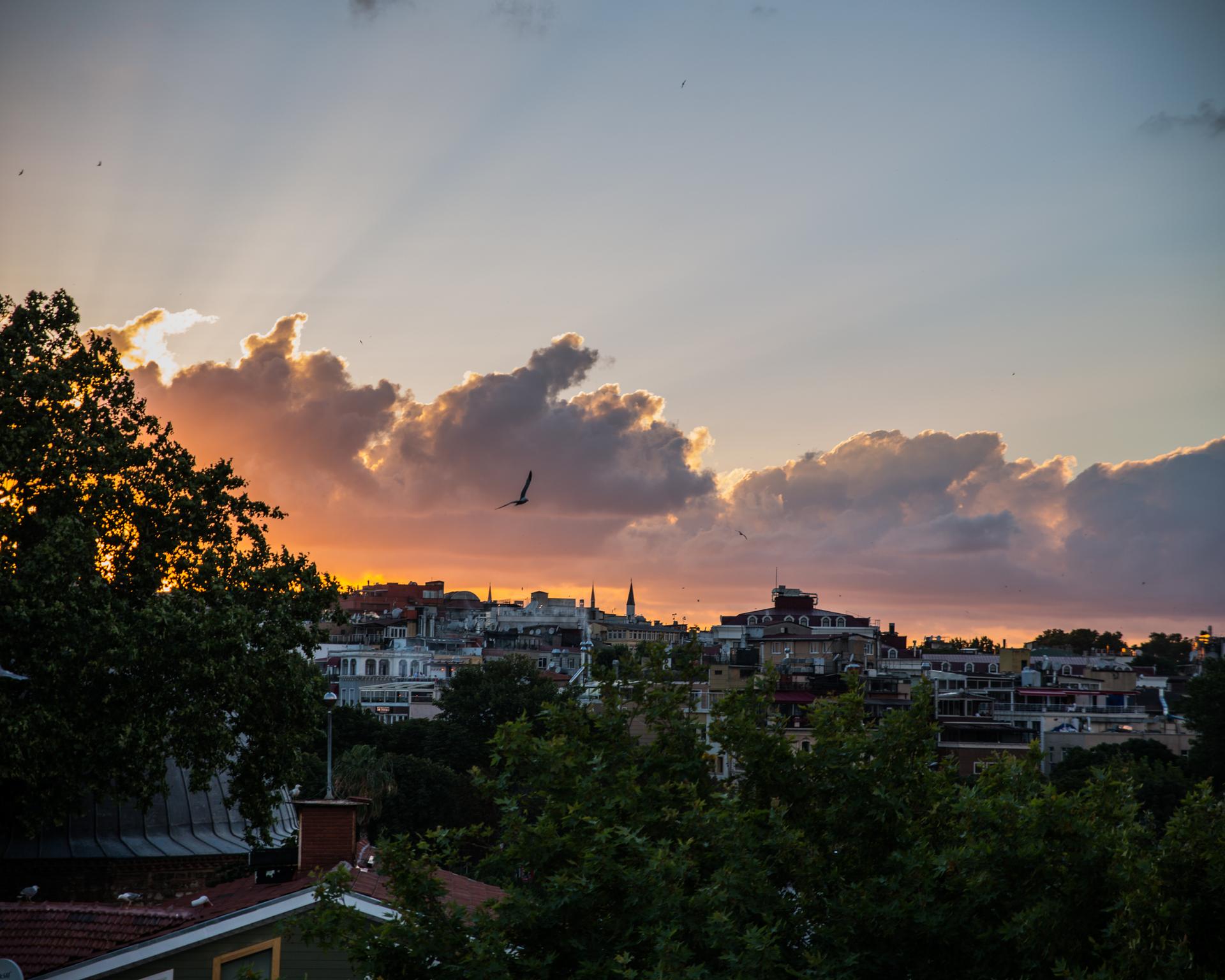 Istanbul, Turkey, sunset on the roof of a restaurant we set up on to take a timelapse of the Hagia Sophia, we were there for hours, and had a beer each, the waiters didnt love us.