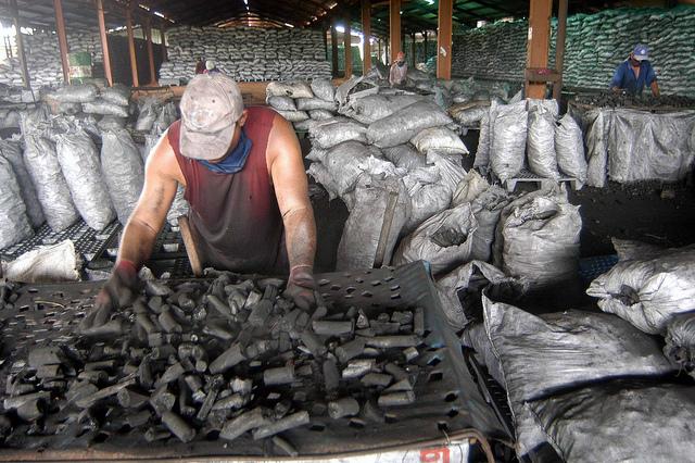 Workers in Ciego de Avila,  Cuba prepare shipments of marabu charcoal for export.