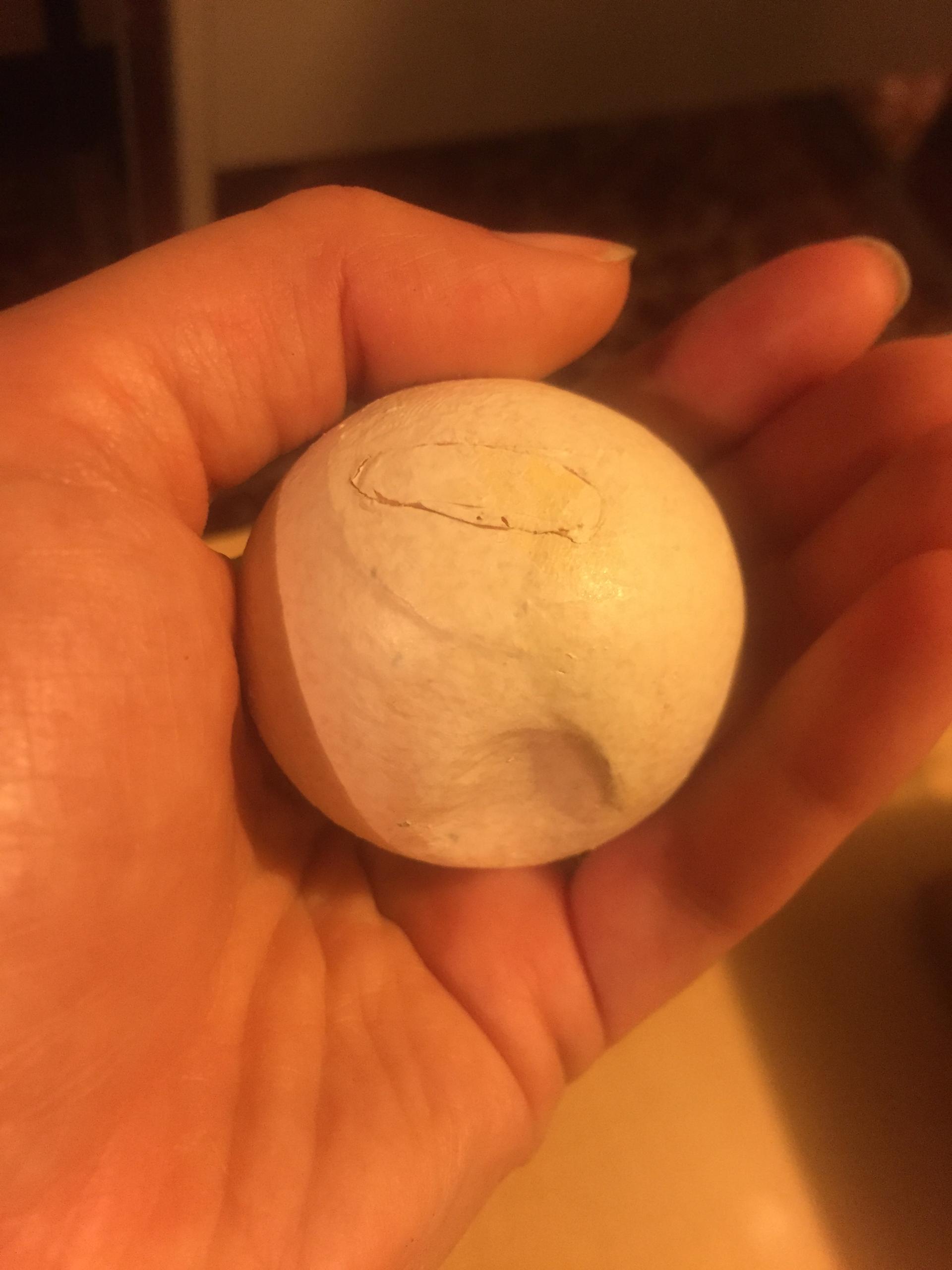 The fake egg, once it's finished, looks like a ping pong ball with a dimple in it.