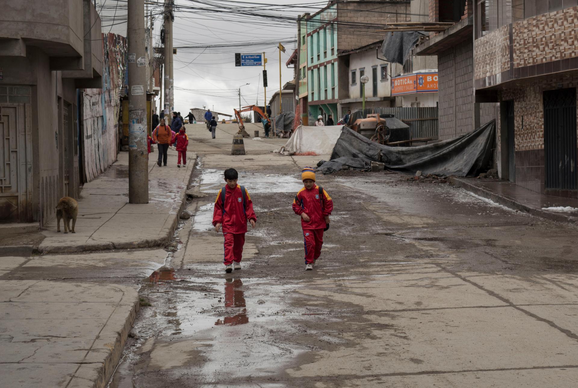 Local authorities say heavy-metal pollution has caused mental retardation, genetic malformations and brain damage, which ultimately leads to death if untreated, according to Peru's environmental regulator.