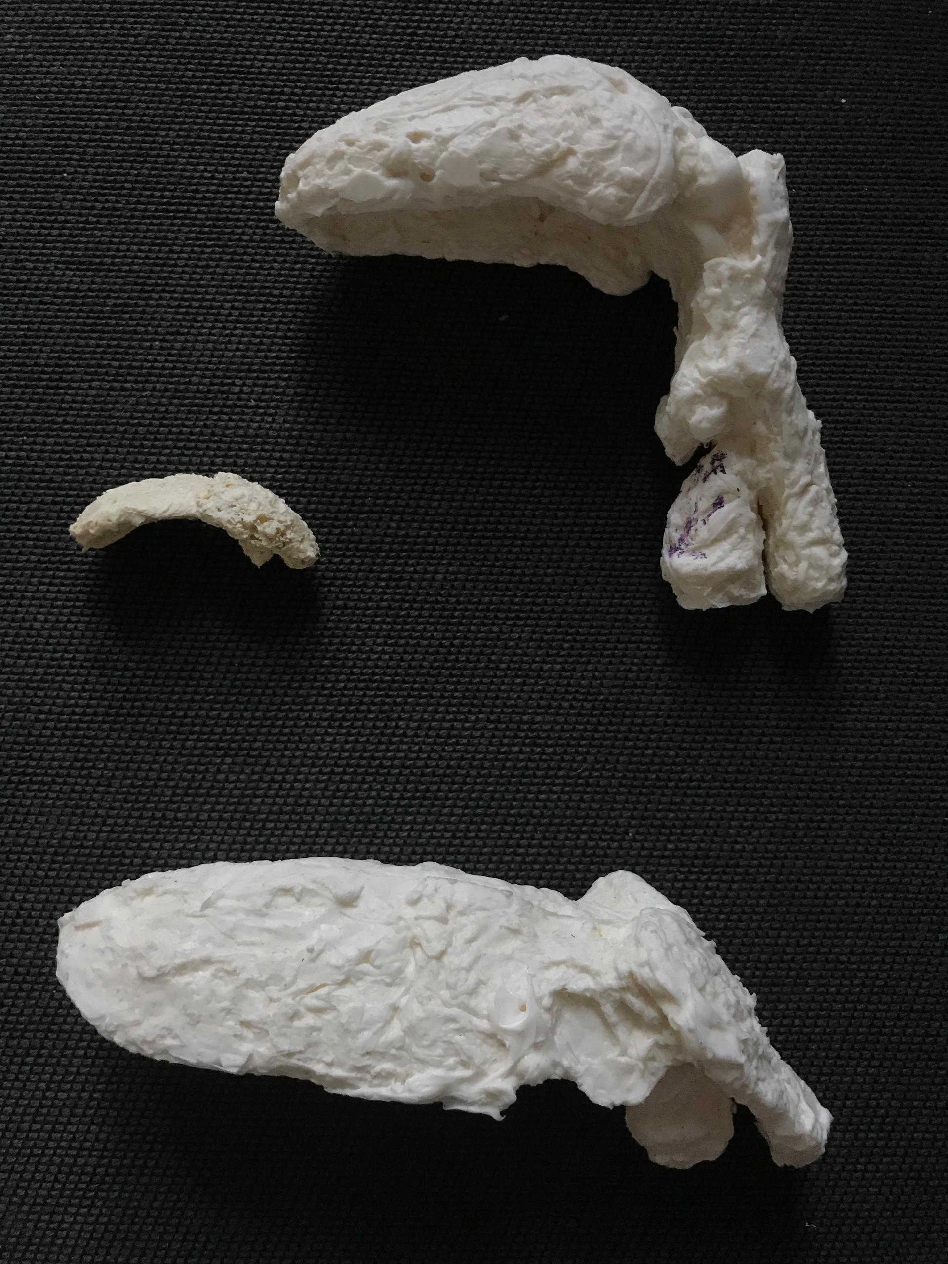 Silicon casts of vocal tracts — the airways and cavities filling the mouth and nose.