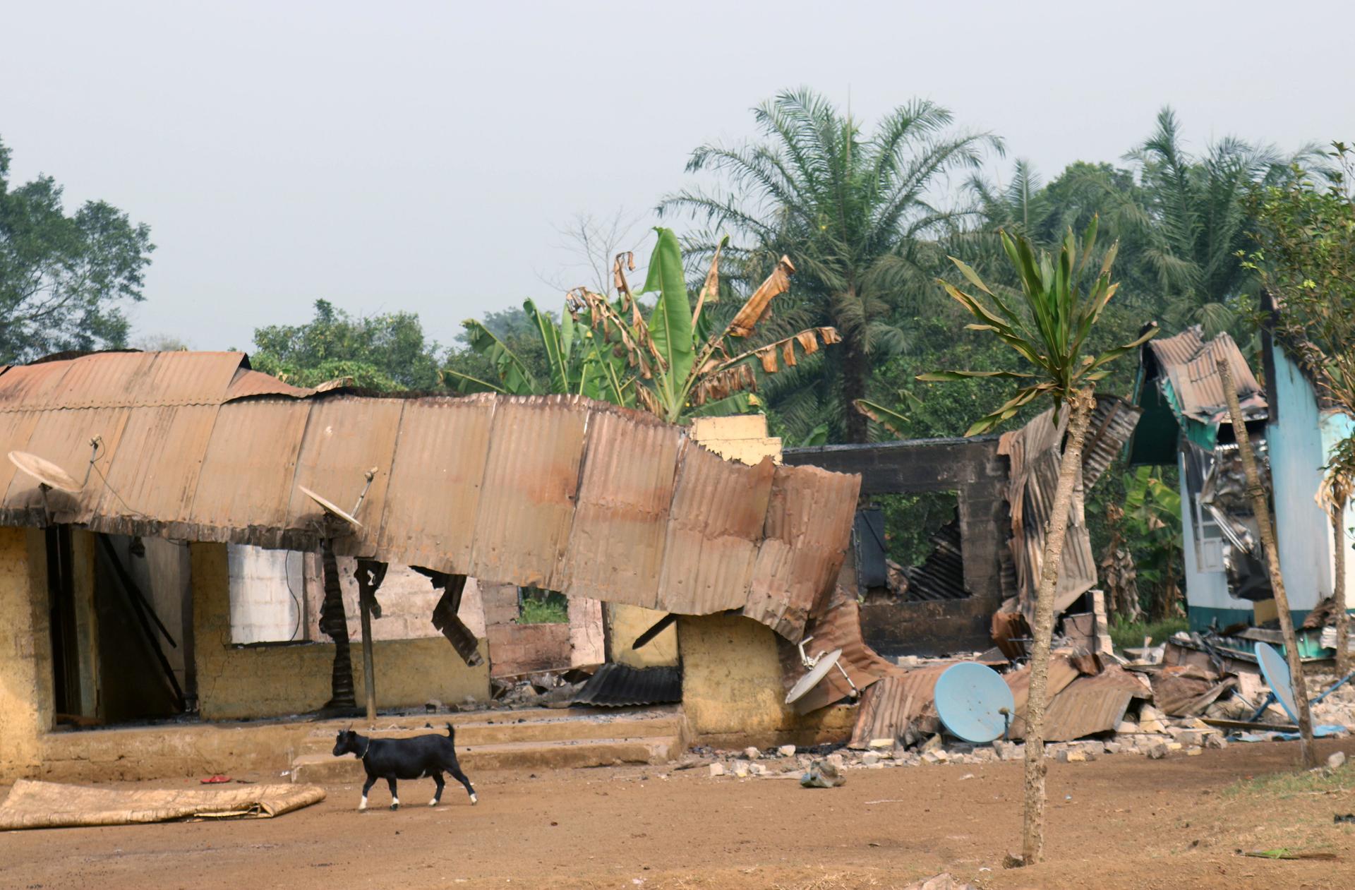 A goat walks past burned and damaged buildings in Kembong, south-west region of Cameroon Dec. 29, 2017.