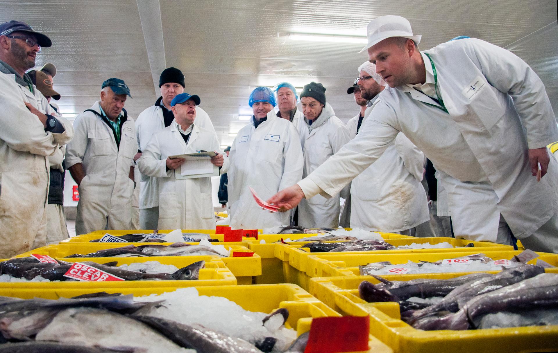 A fish auction underway at the Port of Grimsby.