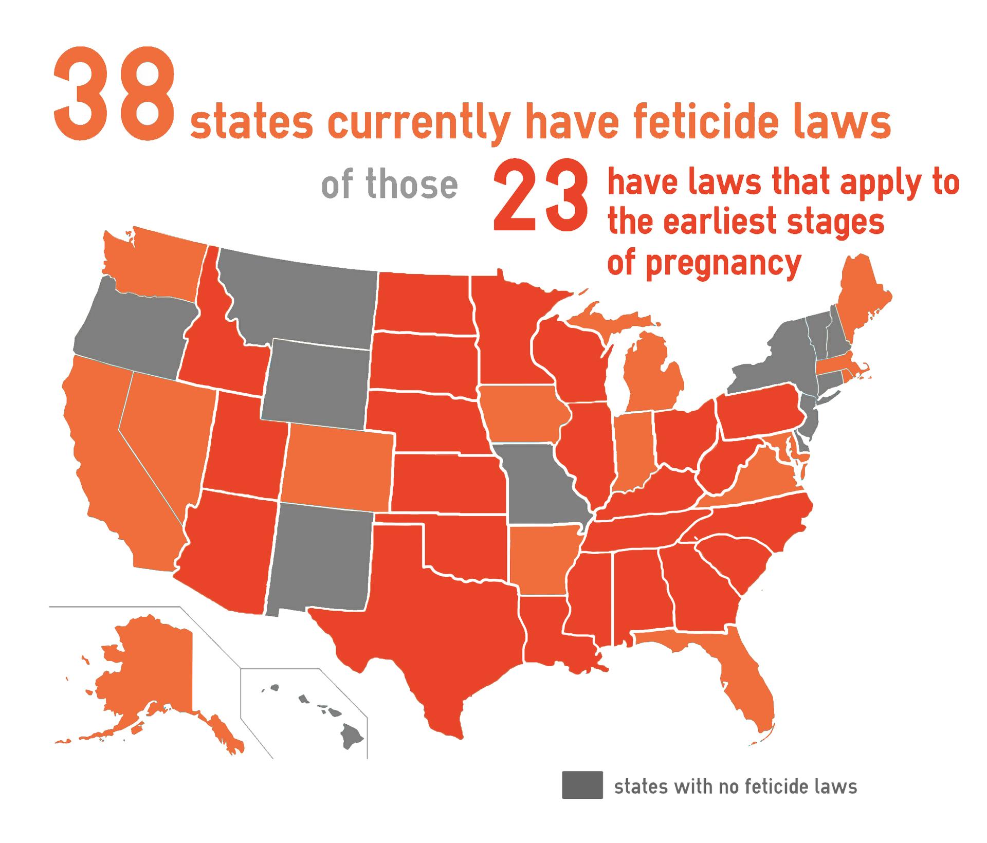 Feticide map of USA