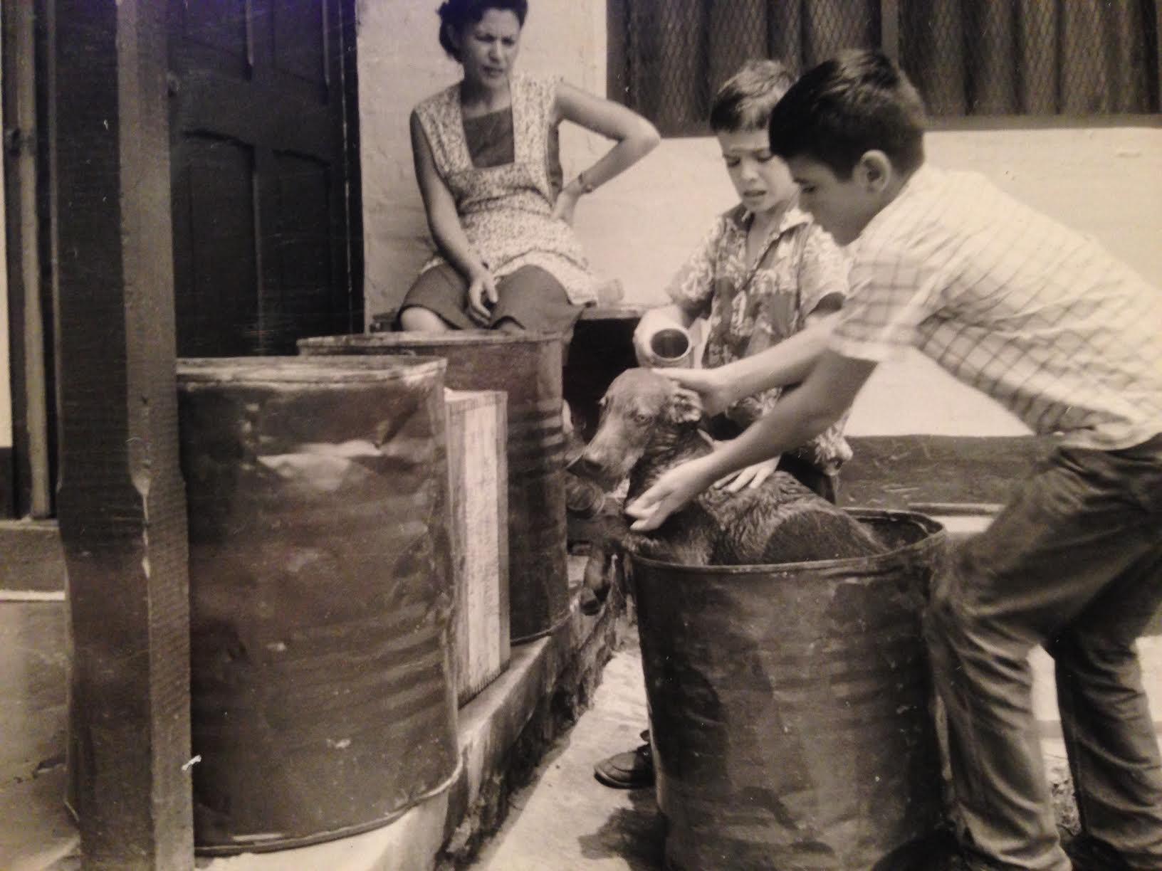 Brothers John and George Campbell wash their pet dog while their mother, Hortensia, watches. Photo taken in Segovia, Colombia.