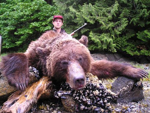 A grizzly killed by a trophy hunter in the Great Bear Rainforest.