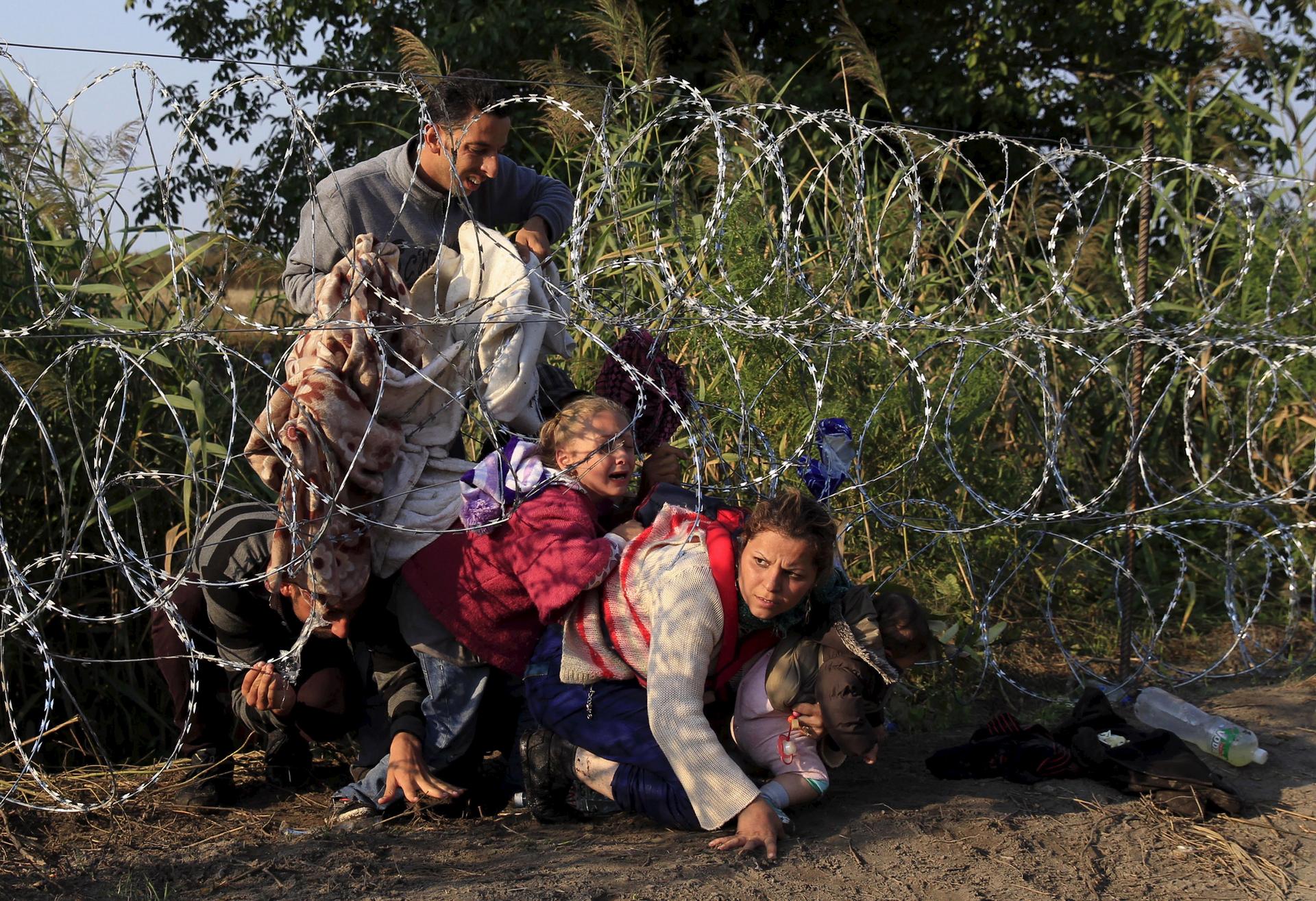 Syrian refugees cross under a fence as they enter Hungary at the border with Serbia, near Roszke, Aug. 27, 2015.