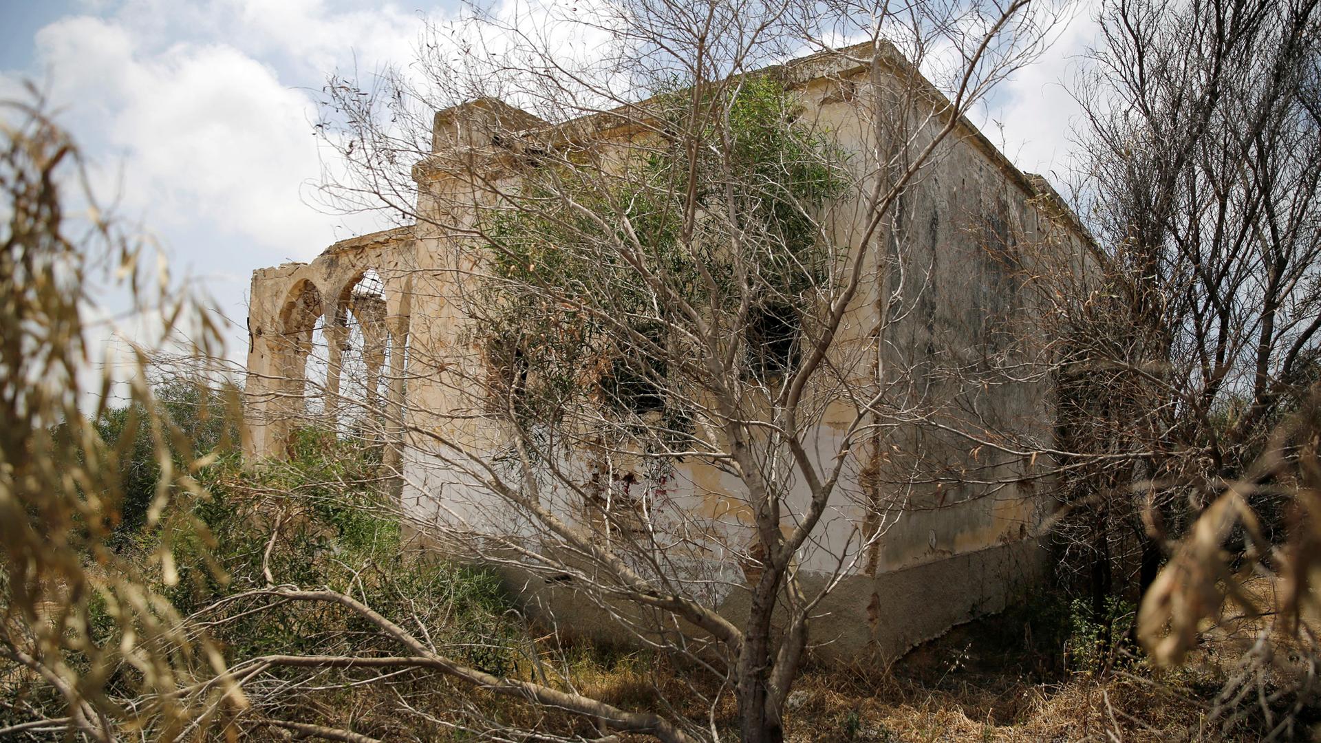 A stone building is crumbling and surrounded by tree branches