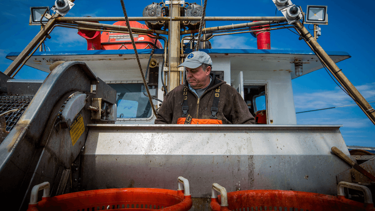 Captain Christopher Brown sorts fish at the F/V Proud Mary’s conveyor, with the electronic monitoring cameras visible behind him. 