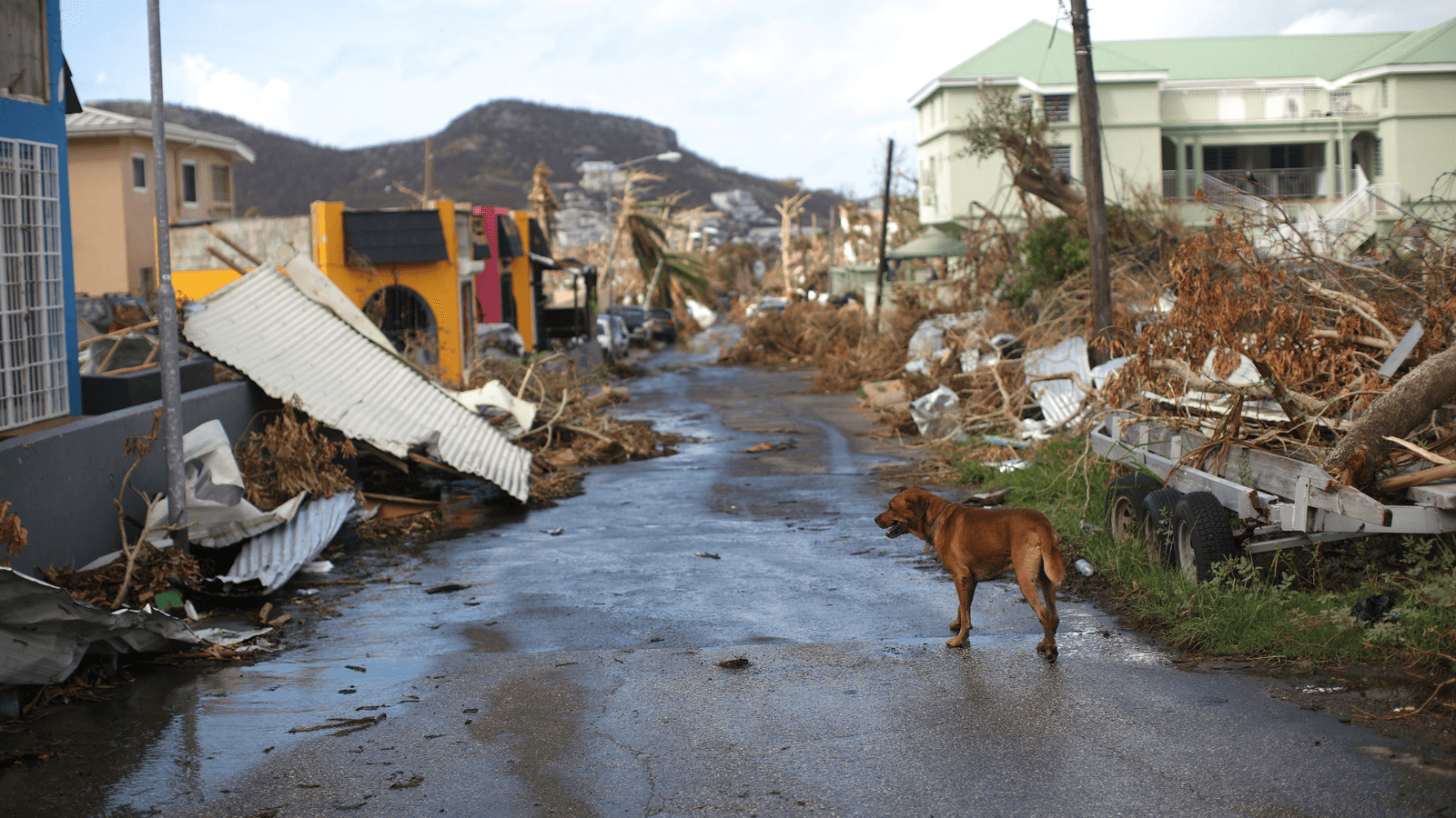 Devastation form Hurricane Irma in Sint Maarten.