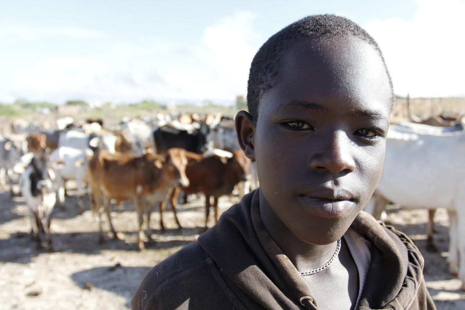 A child stands in front of a herd of cows in Samburu County in Kenya, one of the many tropical countries that would have a larger hit to its overall gross domestic product if the overall global temperature continues to steadily rise. Climate change has le
