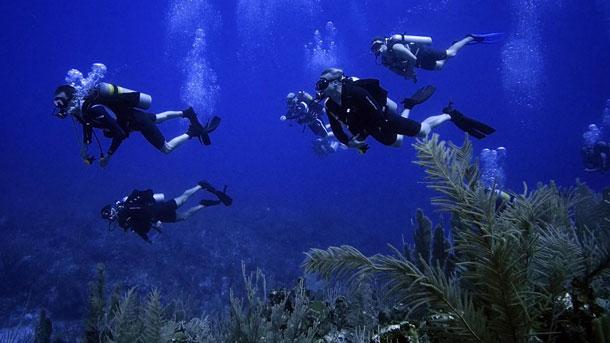 FORCE BLUE divers