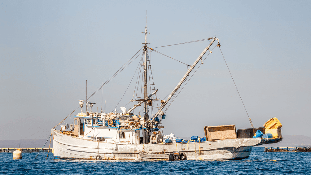 un barco de pesca en el mar de cortez en Mexico